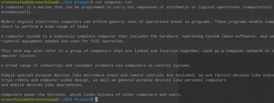 Content of computer.txt file