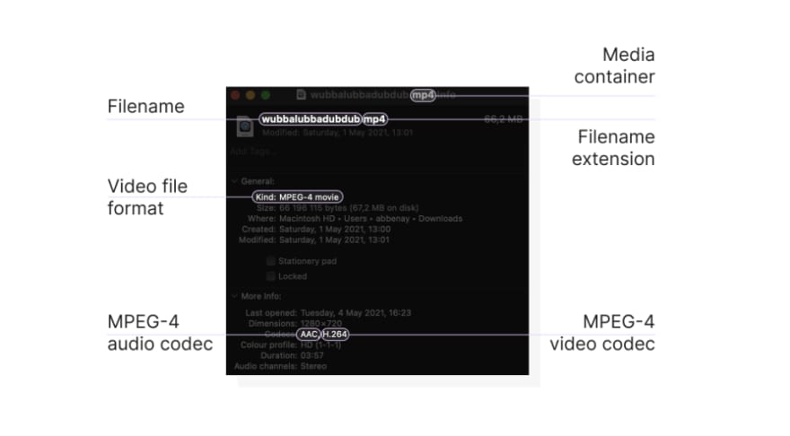 A schematic representation of a video encoding and decoding process for different types of video files