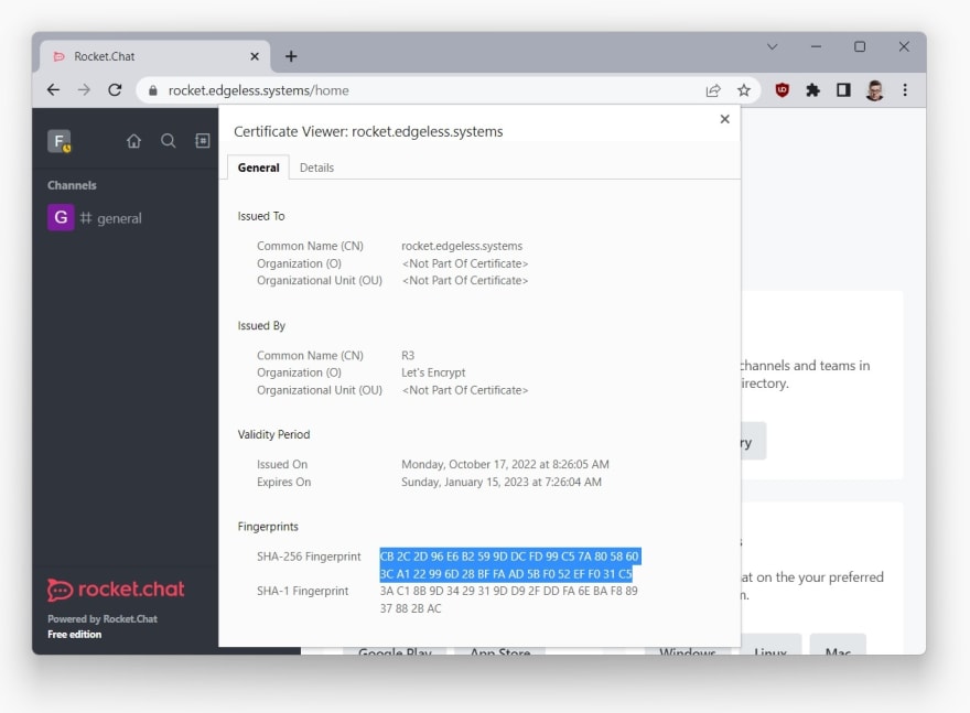 Display TLS certificate in browser