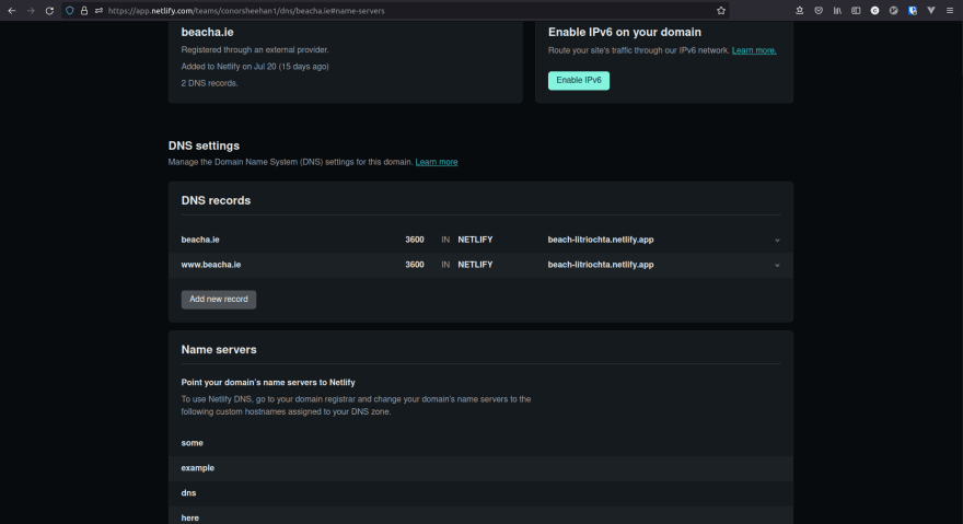 netlify_dns_list