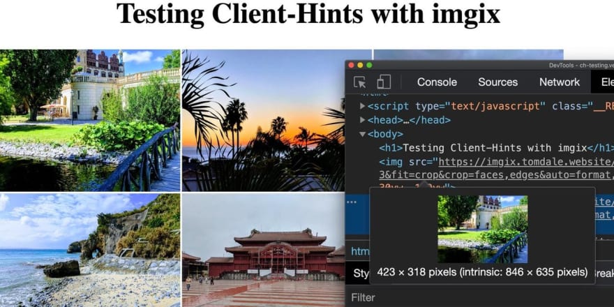 Website Preview of using Client Hints with imgix