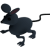 mousetail profile image