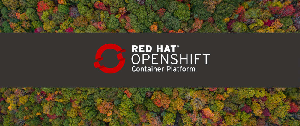 Cover image for Troubleshooting OpenShift Clusters and Workloads
