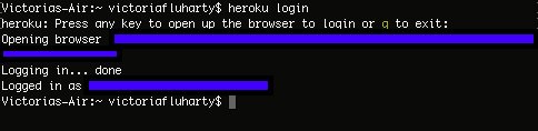 screenshot of terminal after successful login
