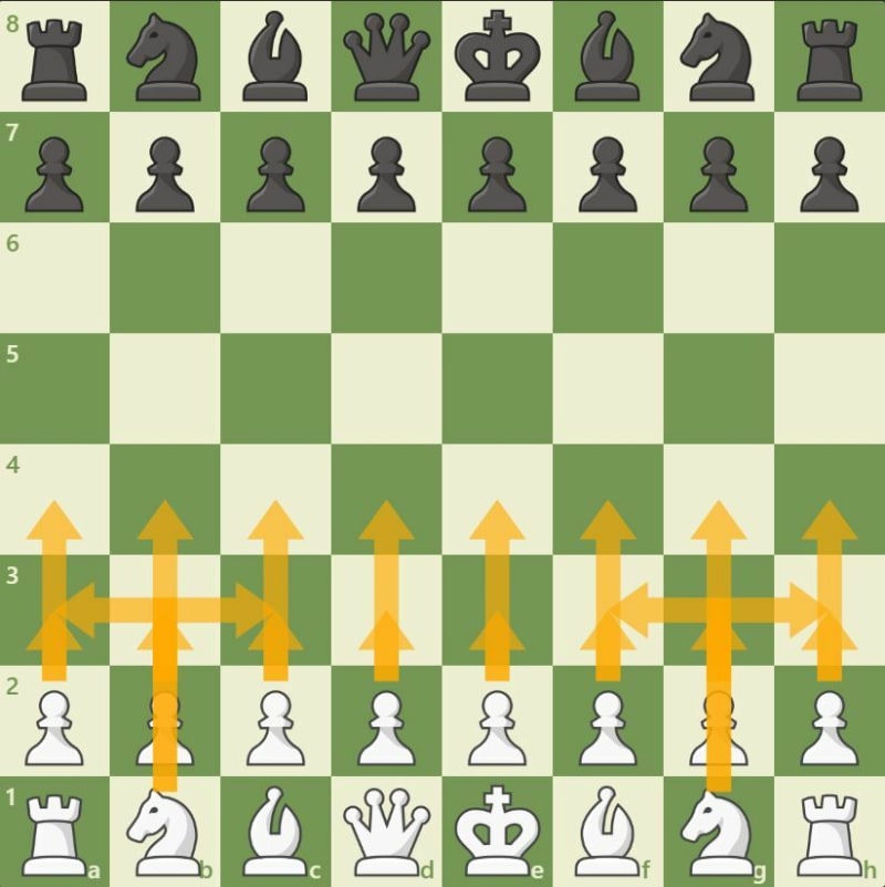 Chess Terminology You Should Know: Piece Values (Part 7) #chess #chess