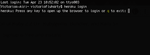 terminal screenshot for local setup