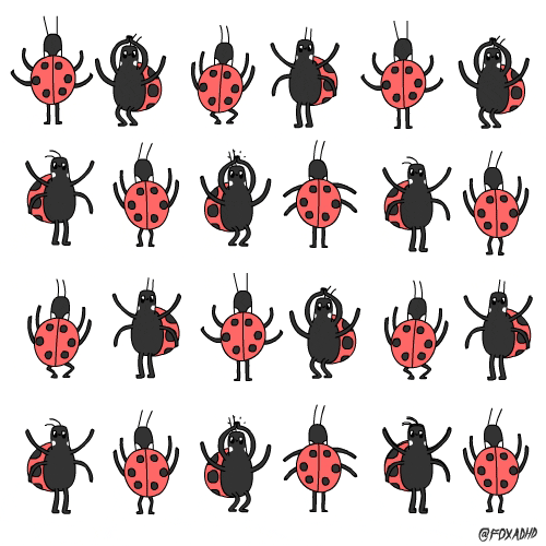 Lots of ladybugs dancing