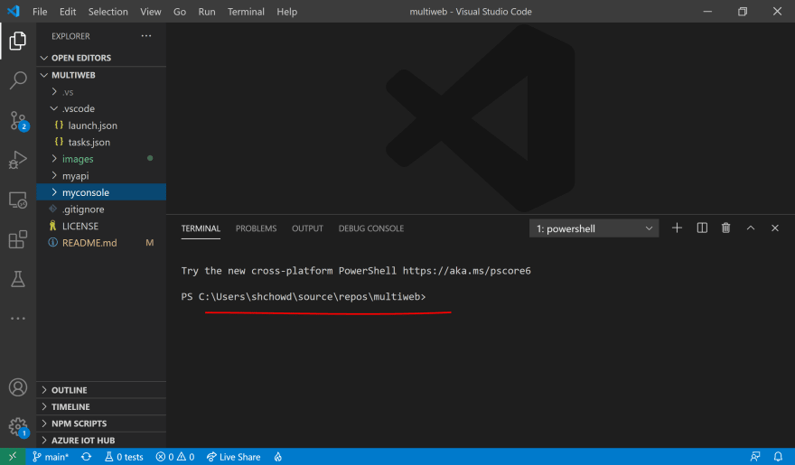 VS Code with Terminal panel