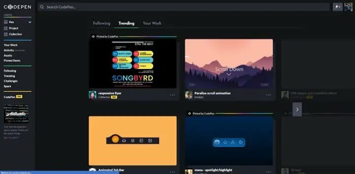 CodePen