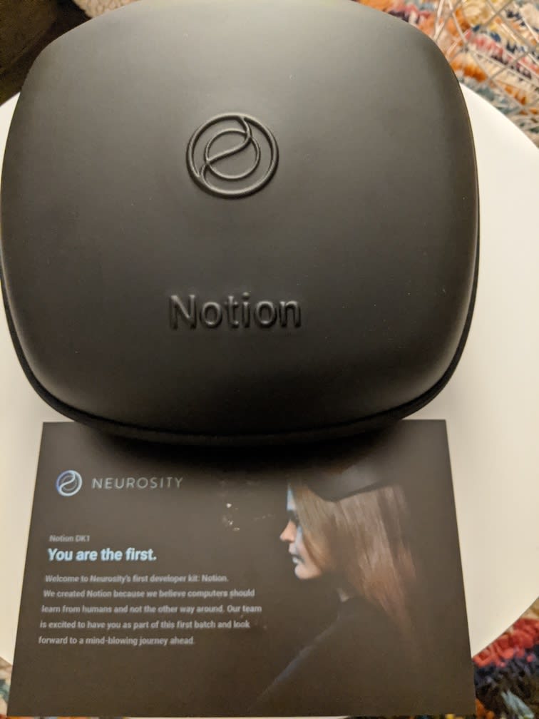 Notion's case with the flyer that came with DevKit.