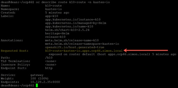 oc describe route k10-route