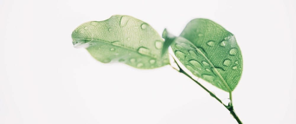 Cover image for Clean Coding React - Props