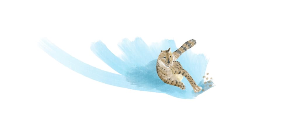 Cover image for How to Become a Faster Programmer