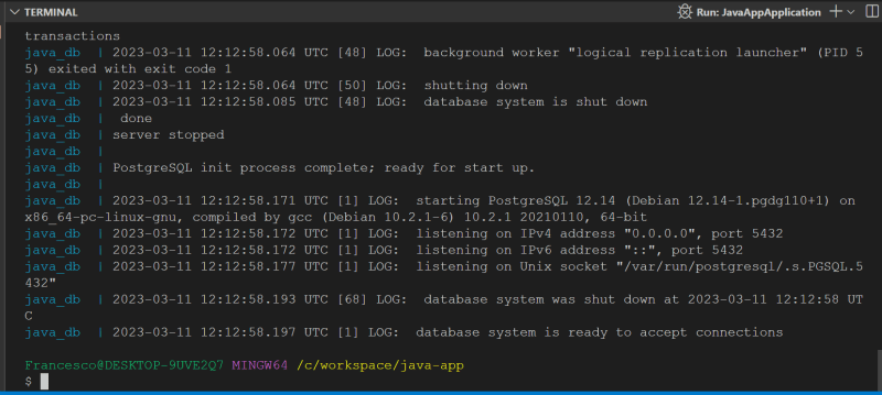 logs, at the end database system is ready to accept connections