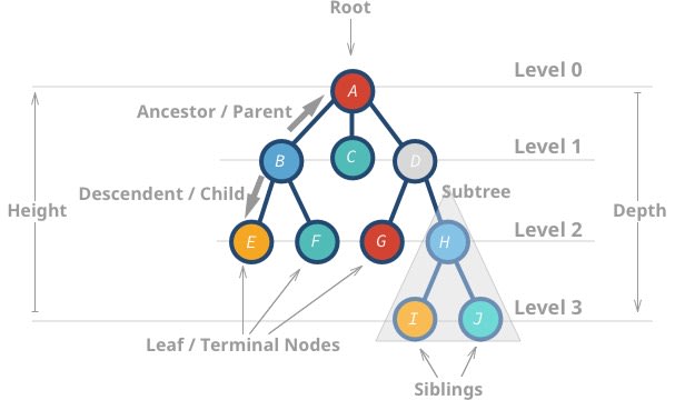 Tree Data Structures Explained with JavaScript - DEV Community