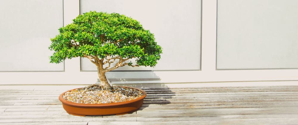 Cover image for The satisfaction in treating your side projects like bonsai