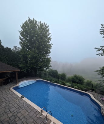 picture of a backyard in a foggy day