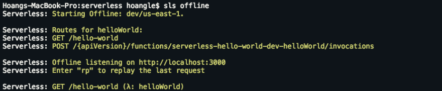 npm install serverless offline