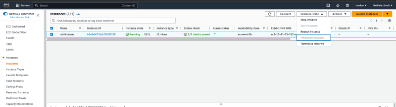 Terminate Instance