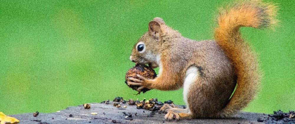 Cover image for F# Squirrel Brains: Adding Actors and Getting Functional