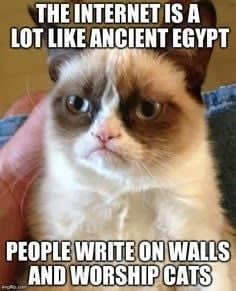 just another cat meme