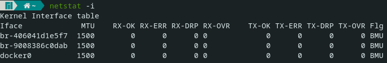 netstat -i example