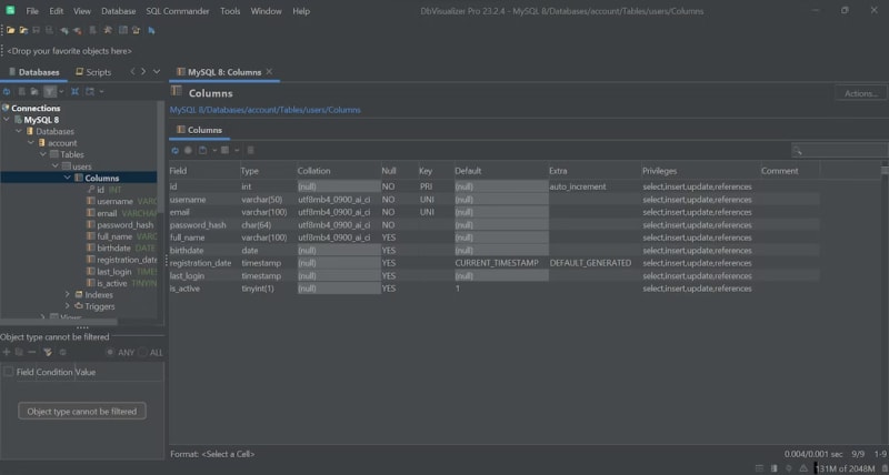 The "Columns" tab in DbVisualizer.
