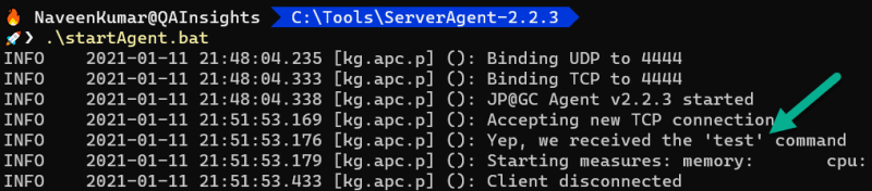 Testing the Server Agent