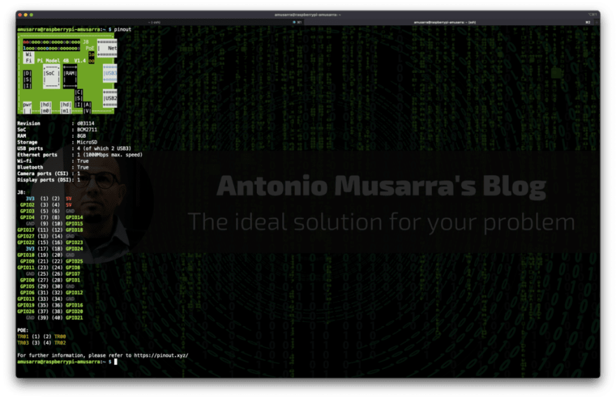 Figura 15 - Output del comando pinout, utile per verificare la piedinatura del GPIO e altre informazione sul layout hardware e componenti