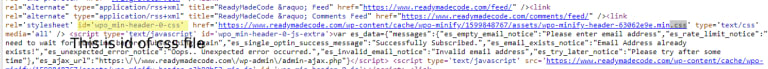 remove extra css in wordpress