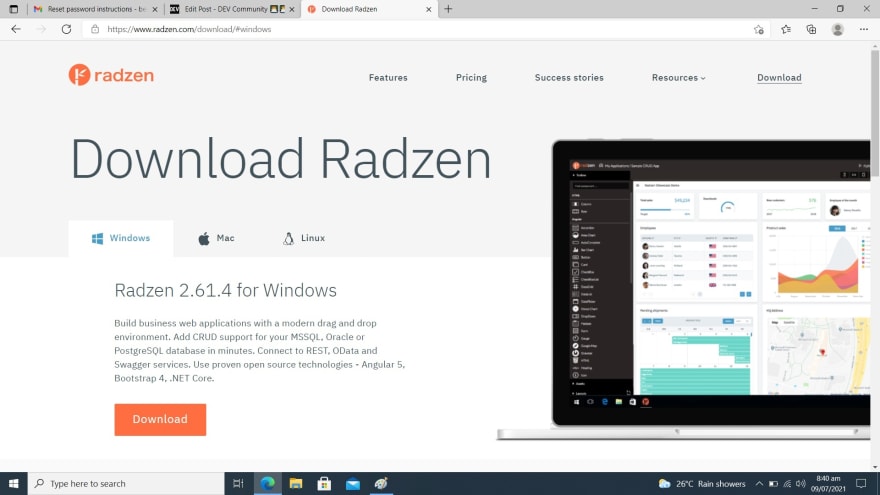 Radzen Download