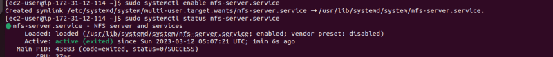 enablenfs