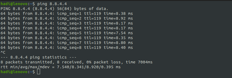 Sample result of  raw `ping` endraw  command execution