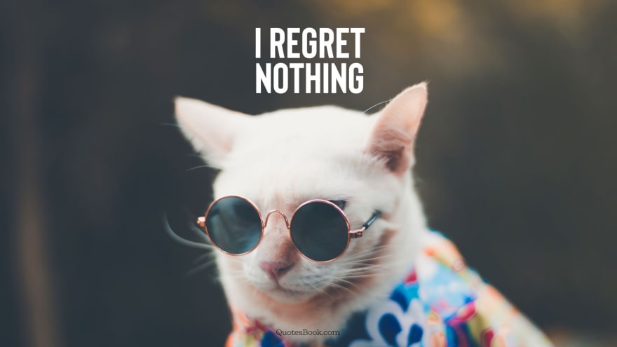 Image of a cat with text saying I regret nothing