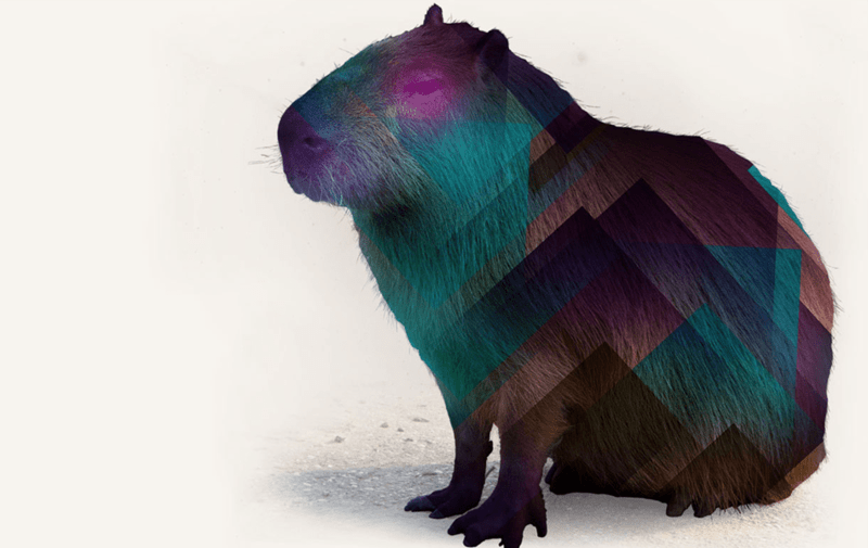 capybara logo