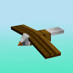 bird animation