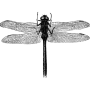 lakewoodexterminating profile