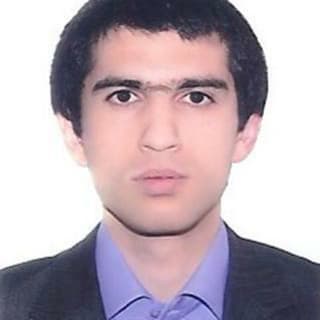 seyed hosein alhoseiny profile picture