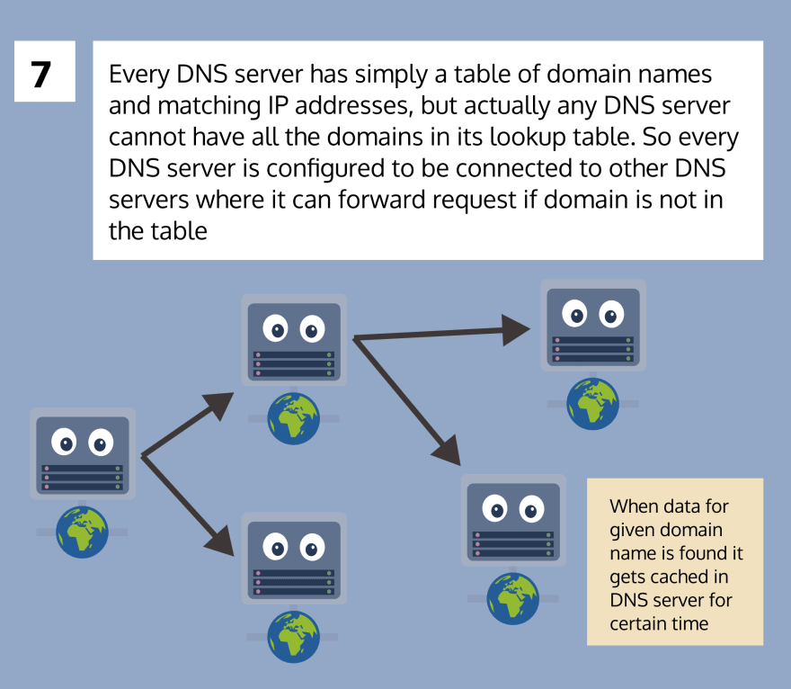 DNS picture 7