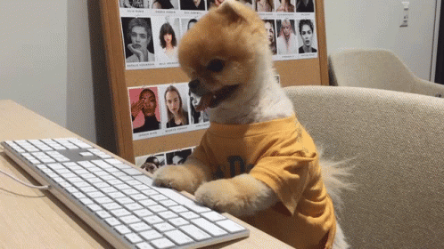 dog typing