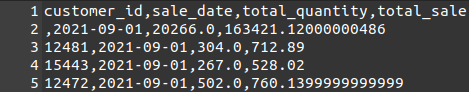 Each file contains customer_id, sale_date, total_quantity and total_sale.