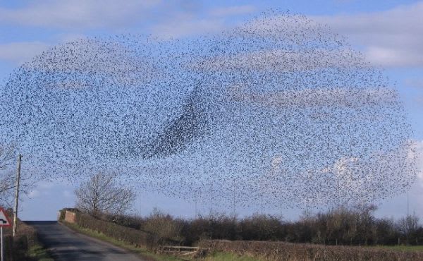 Docker Swarm