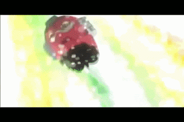 Gif: Lagann combining with another mecha successfully