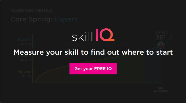 Pluralsight free IQ test for Java and Spring programmers