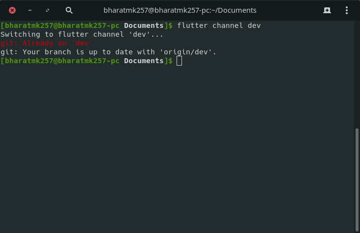 Creating New/Old Flutter project with web support - DEV Community