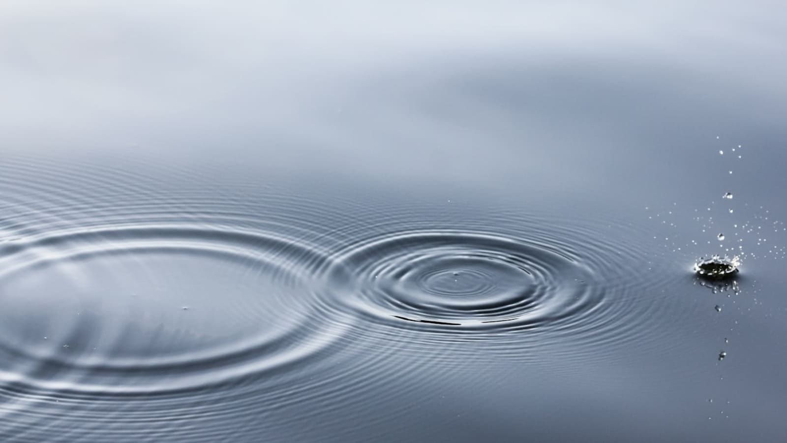 Recreating The Material Design Ripple Effect In React Dev Community