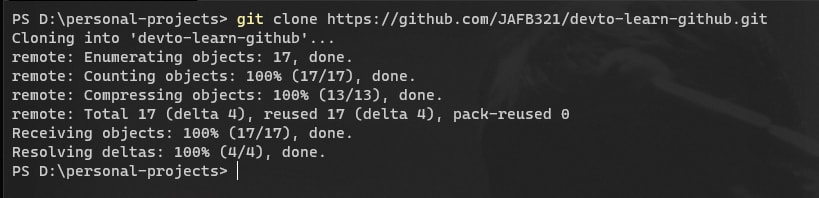 Git repository clone result