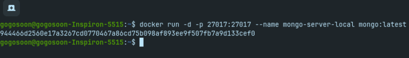 Run the docker image