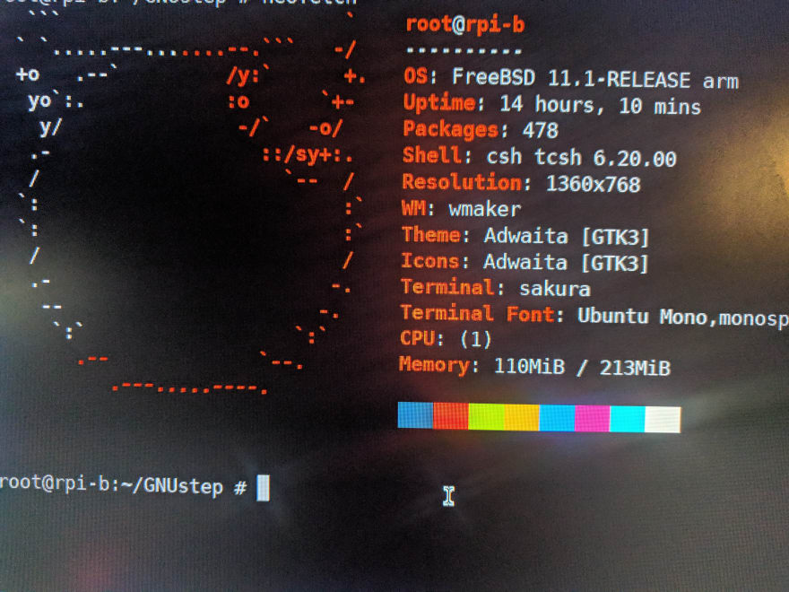 RaspBSD_Fetch