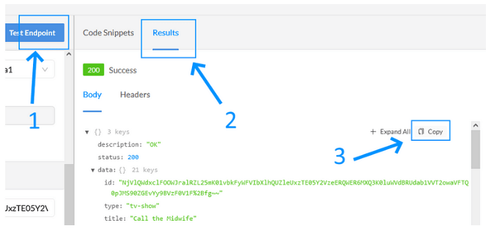 Copying the JSON result from the API endpoint.